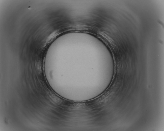X0000091001451200708241438