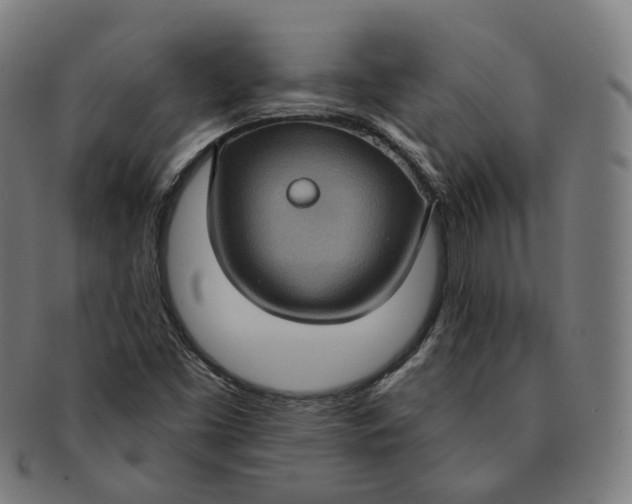 X0000091001453200708241438