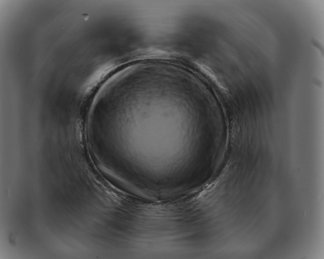 X0000091001455200708241438