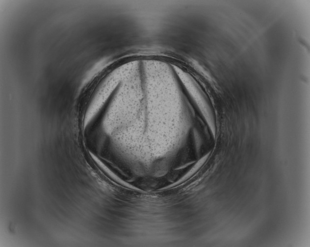 X0000091001456200708241438