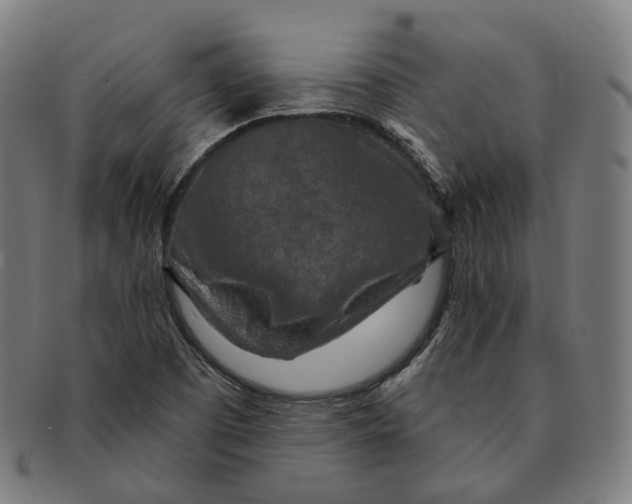 X0000091001457200708241438