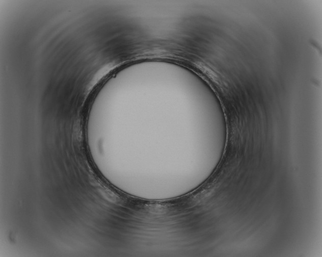 X0000091001458200708241438