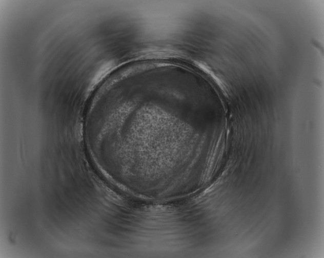 X0000091001459200708241438