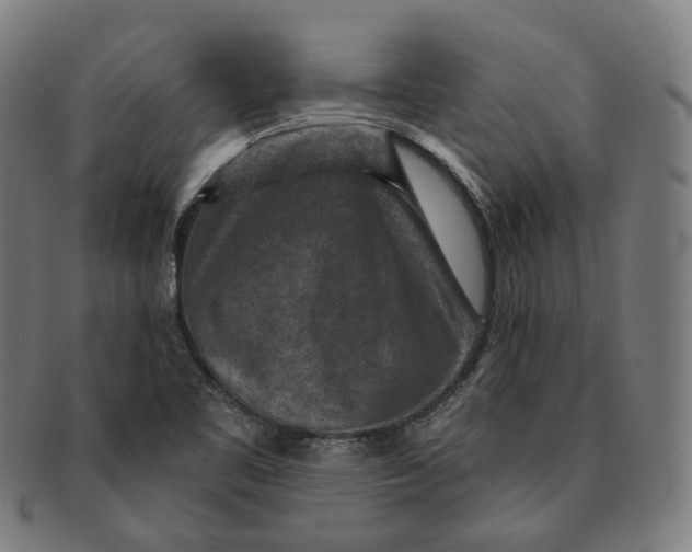X0000091001461200708241438