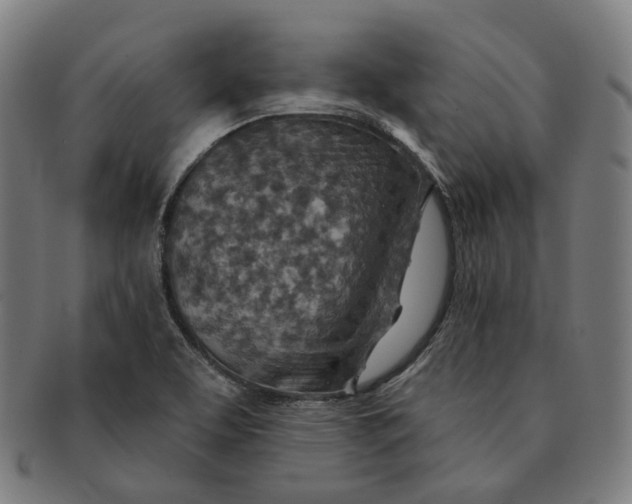X0000091001463200708241438