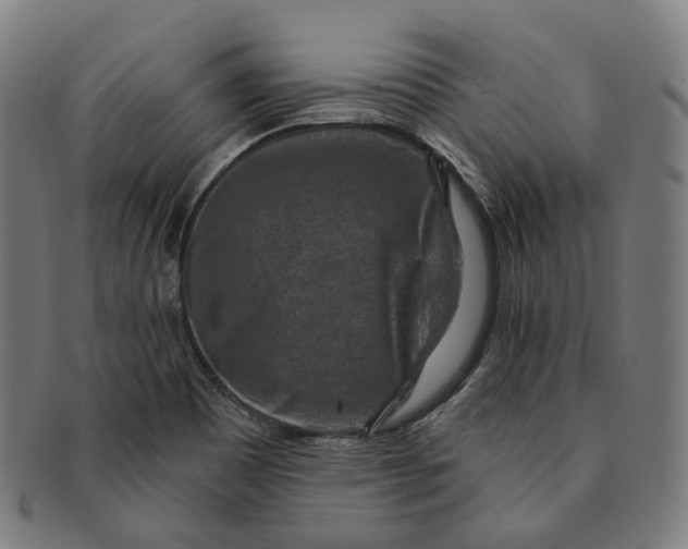 X0000091001465200708241437