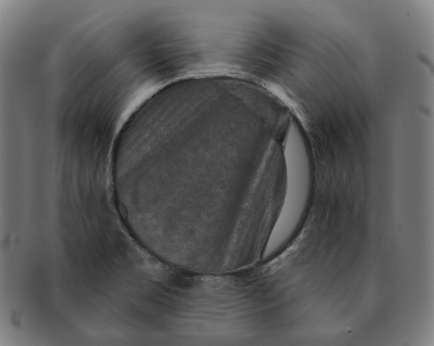 X0000091001469200708241437