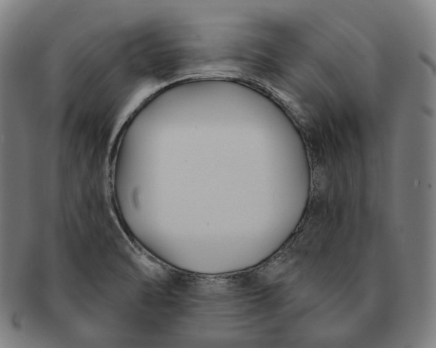 X0000091001470200708241437