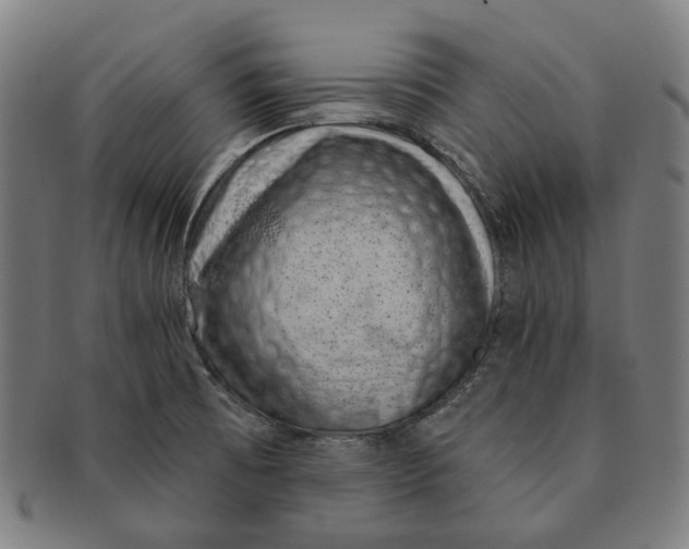 X0000091001473200708241437
