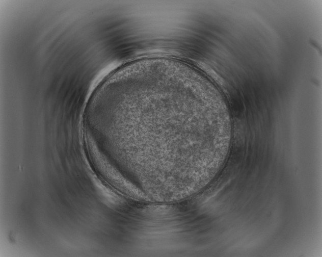 X0000091001474200708241437