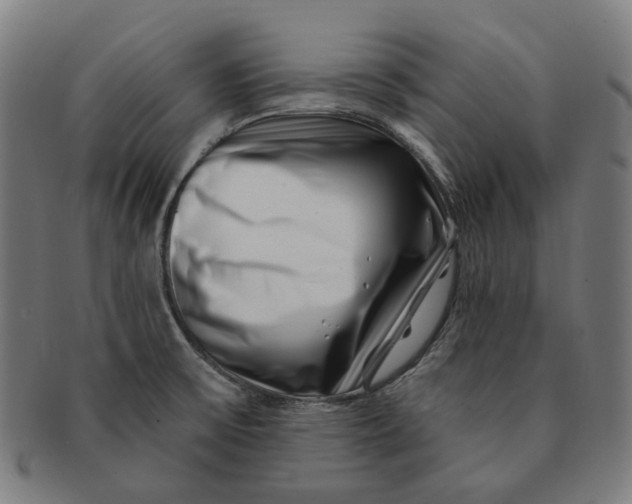 X0000091001475200708241437