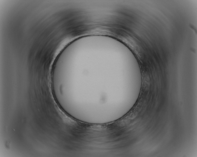 X0000091001478200708241437