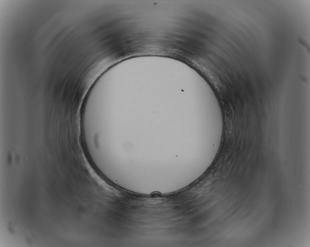 X0000091001479200708241437
