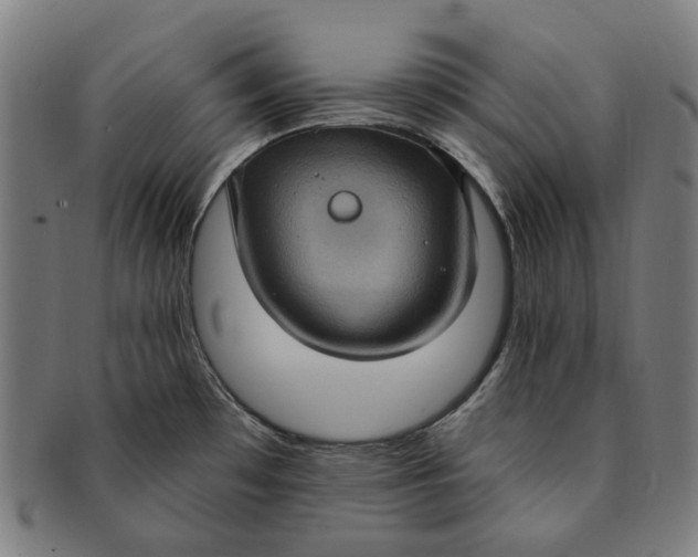 X0000091001481200708241437