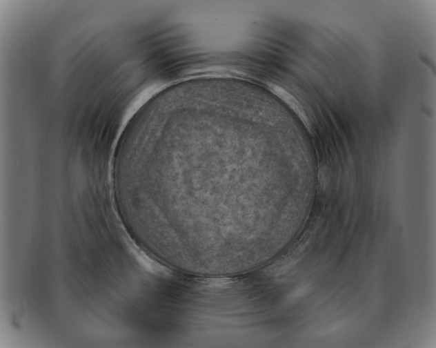 X0000091001482200708241437
