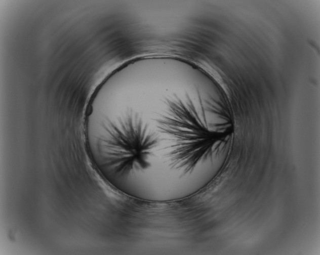 X0000091001485200708241437