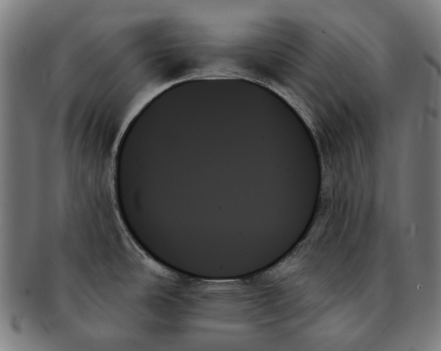 X0000091001486200708241437