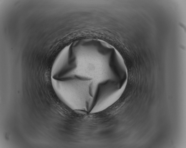 X0000091001490200708241437