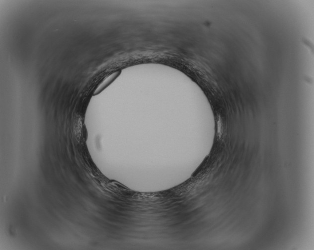 X0000091001492200708241437