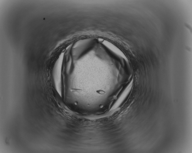 X0000091001494200708241437