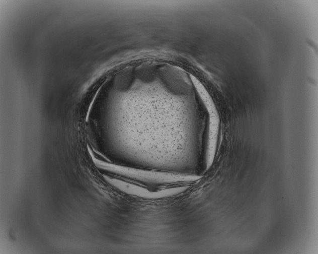 X0000091001496200708241437