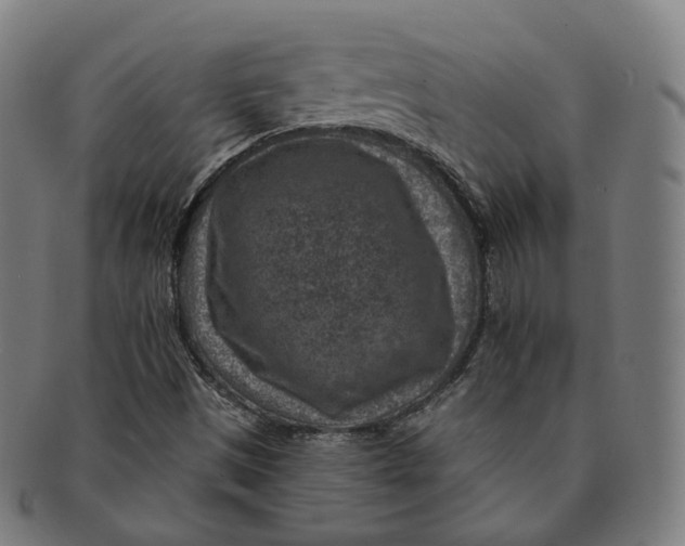 X0000091001497200708241437