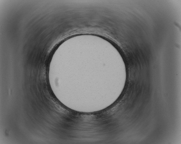 X0000091001498200708241437