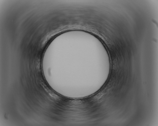 X0000091001499200708241437