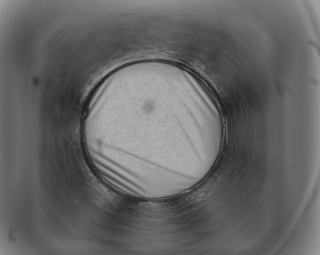 X0000091001500200708241437