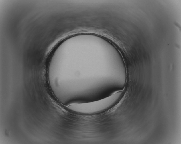 X0000091001502200708241437