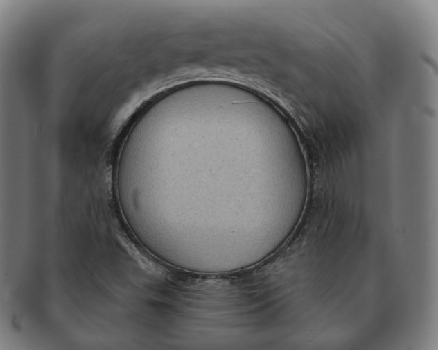 X0000091001503200708241437