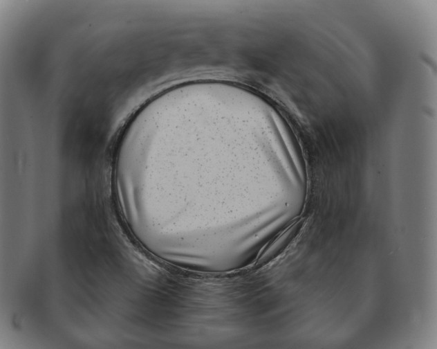 X0000091001504200708241437