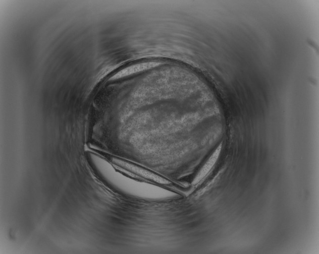 X0000091001505200708241437