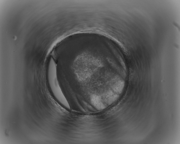 X0000091001506200708241437