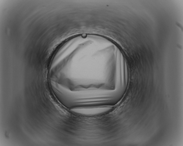 X0000091001507200708241437