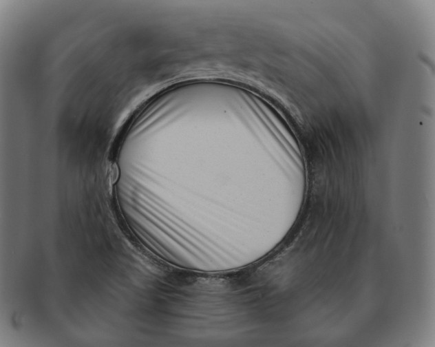 X0000091001509200708241437