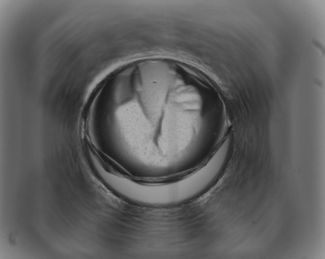 X0000091001510200708241437