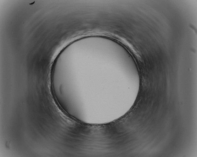 X0000091001512200708241437