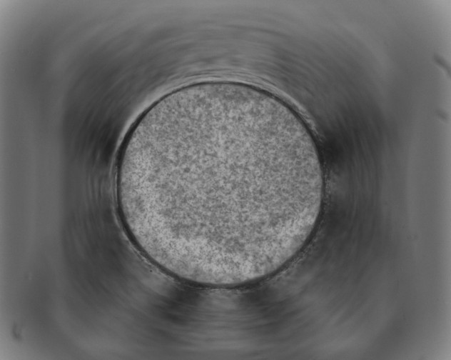 X0000091001514200708241437