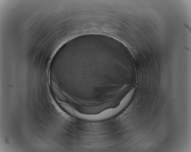 X0000091001515200708241437