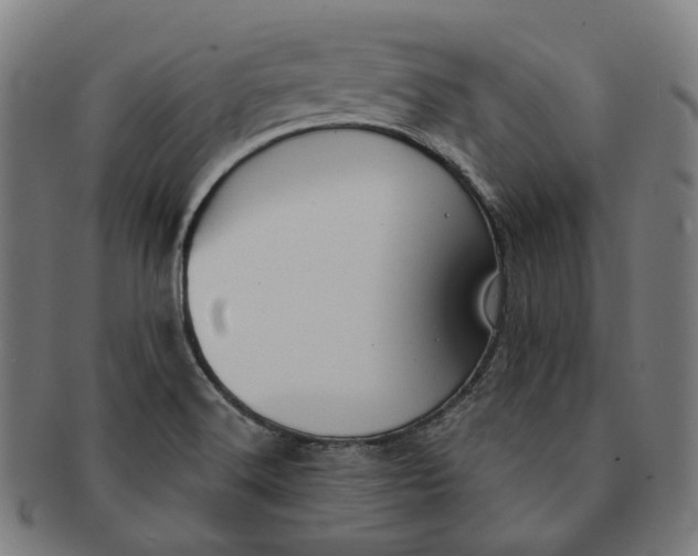 X0000091001516200708241437
