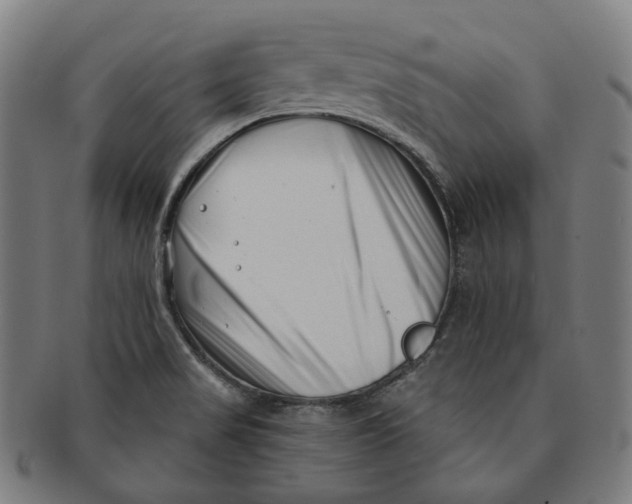 X0000091001517200708241437