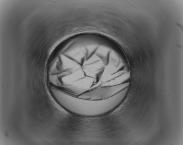X0000091001518200708241437