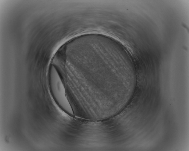 X0000091001519200708241437