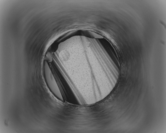 X0000091001520200708241437
