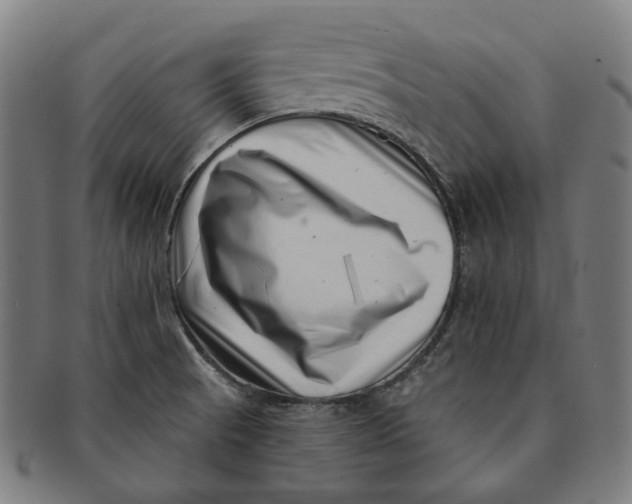 X0000091001521200708241437