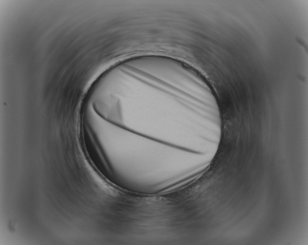 X0000091001523200708241437