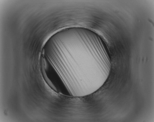 X0000091001524200708241437