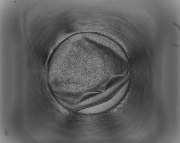 X0000091001525200708241437