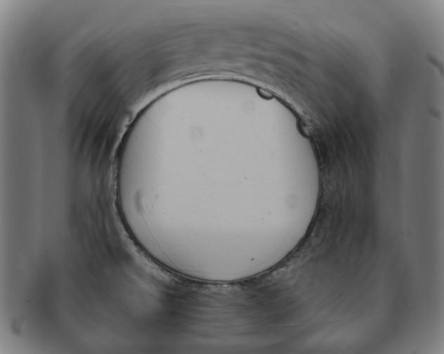 X0000091001526200708241437